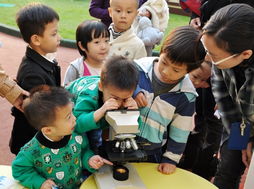 我院为幼儿园开展食品安全健康营养志愿服务